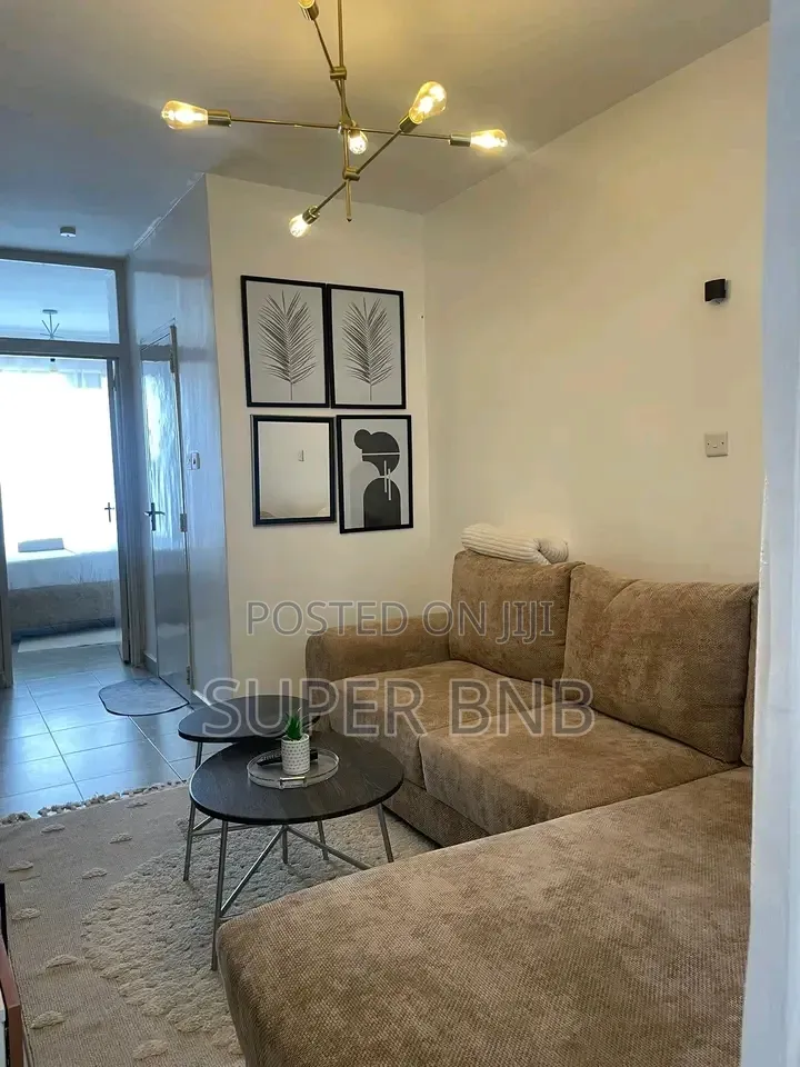 Superbnb 1 Bedroom and Studio Thika Road,Roysambu,Trm, Tsavo Royal