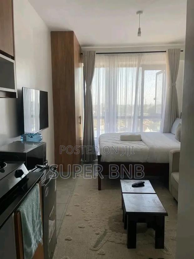 Superbnb 1 Bedroom and Studio Thika Road,Roysambu,Trm, Tsavo Royal - thumbnail 4