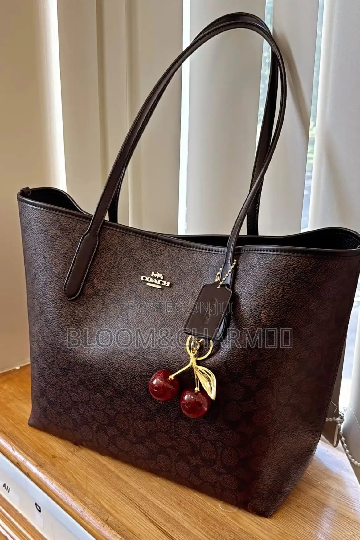 Aesthetic Women Tote Bags