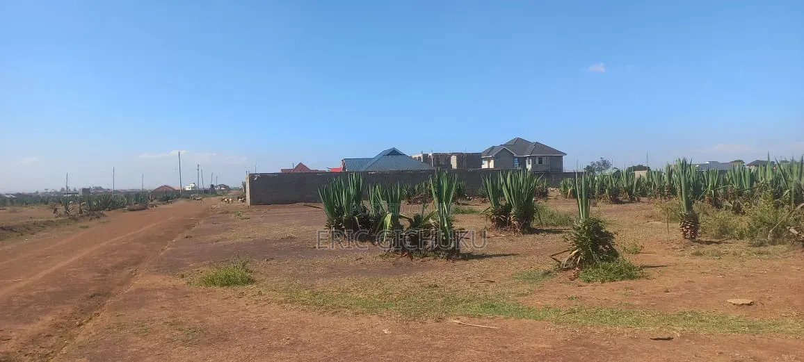50×100 or 0.0430 Hectares Plot in Juja