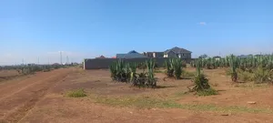 50×100 or 0.0430 Hectares Plot in Juja