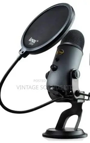 Pop Filter For Studio