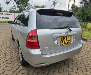 Toyota Corolla Fielder 2006 Silver