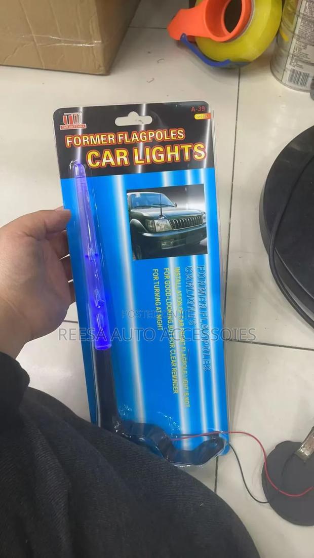 Bumper Lights