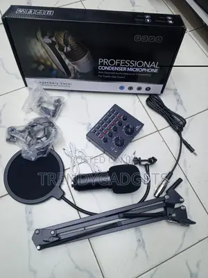 Bm800 Professional Recording Microphone With Pop Filter
