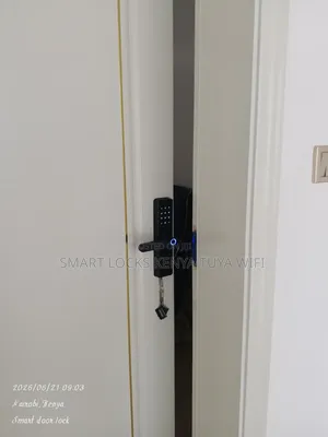 Smart Door Locks, Phone Unlock, Smart Password Door Locks