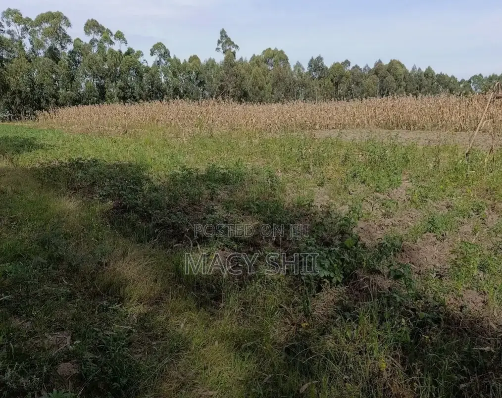 Ndemi Kipipiri Nyandarua