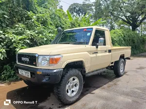 Toyota Land Cruiser 2001 Brown