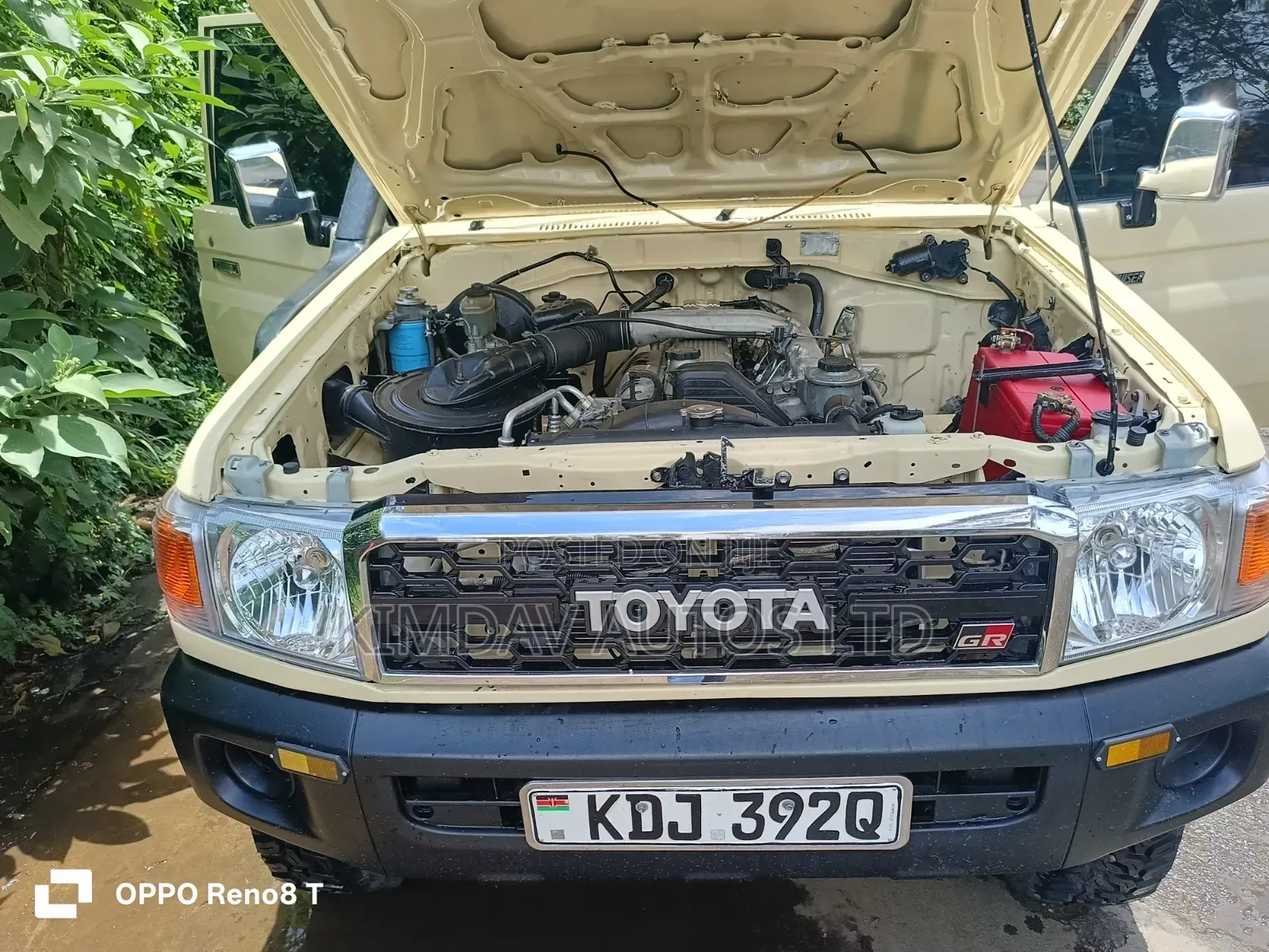 Toyota Land Cruiser 2001 Brown