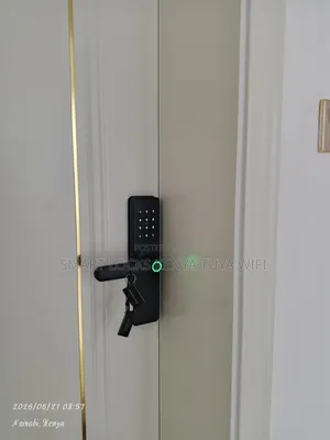 Digital Fingerprint Tuya Smart App Wifi Door Locks