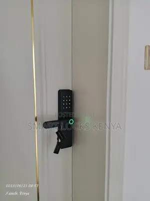 Digital Fingerprint Tuya Smart App Wifi Door Locks