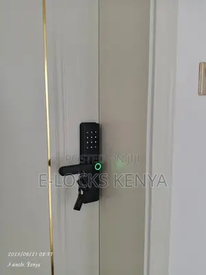 Digital Fingerprint Tuya Smart App Wifi Door Locks