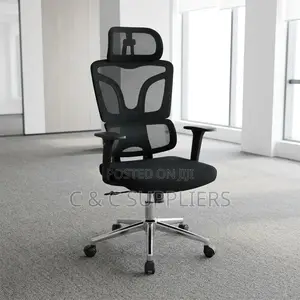 Orthopedic High Back Mesh Task Chair.