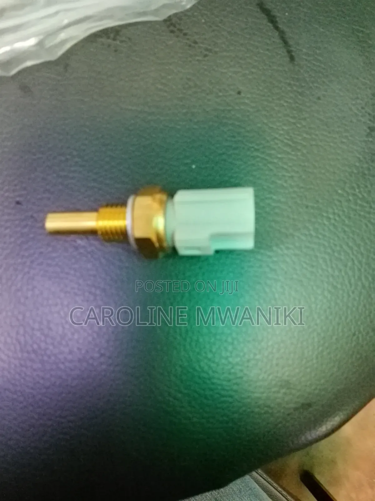 Water Temperature Sensor