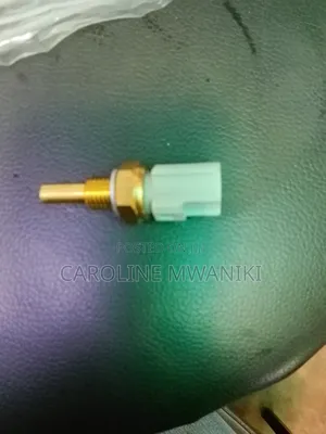 Water Temperature Sensor