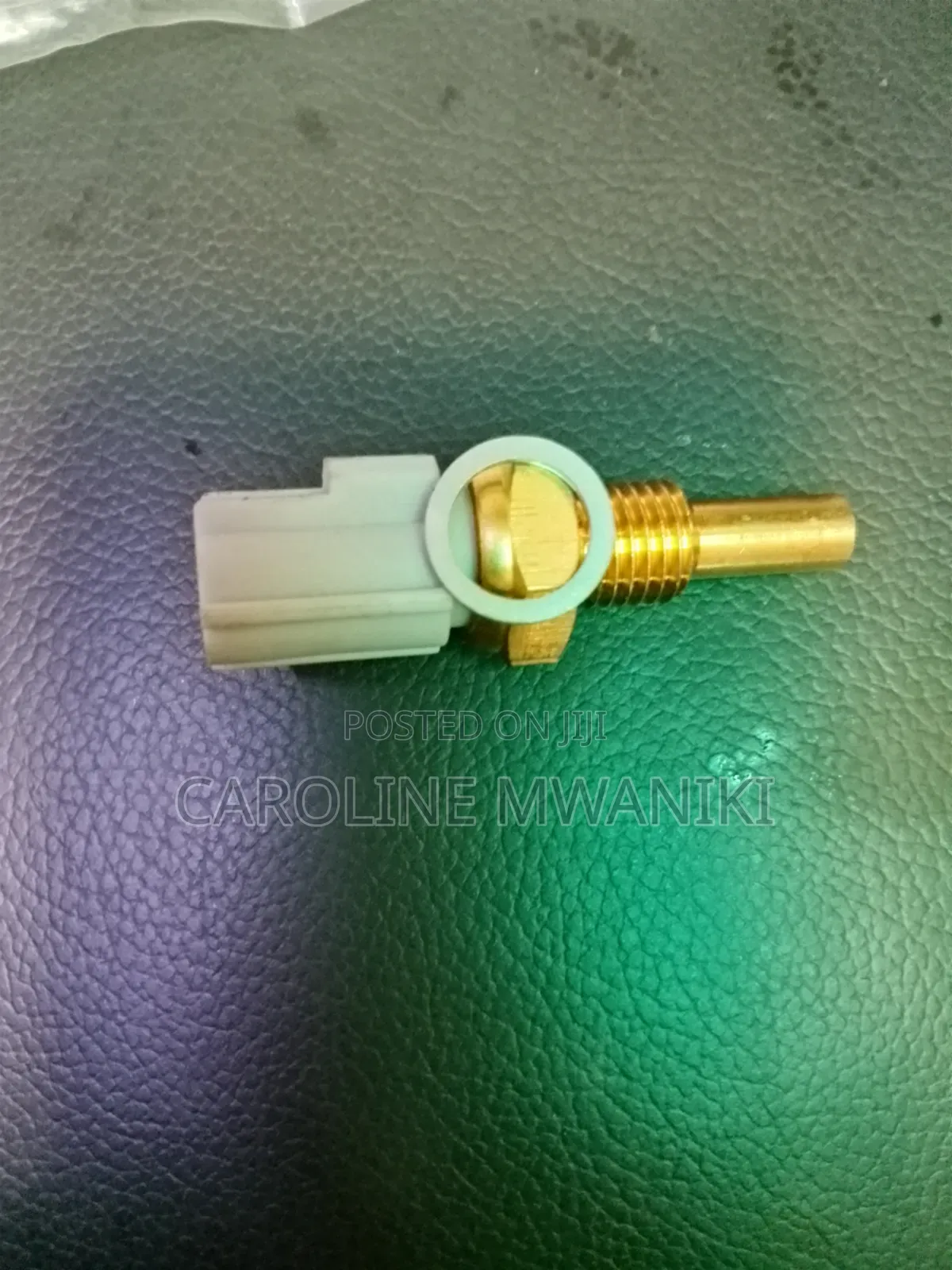 Water Temperature Sensor