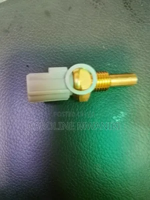 Water Temperature Sensor