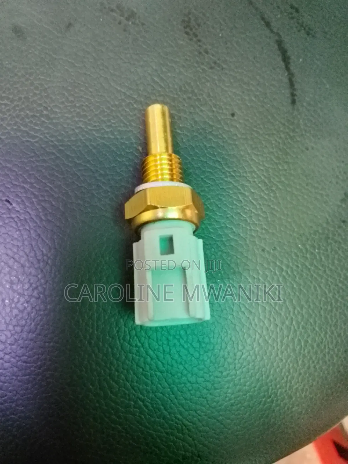 Water Temperature Sensor