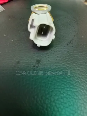 Water Temperature Sensor