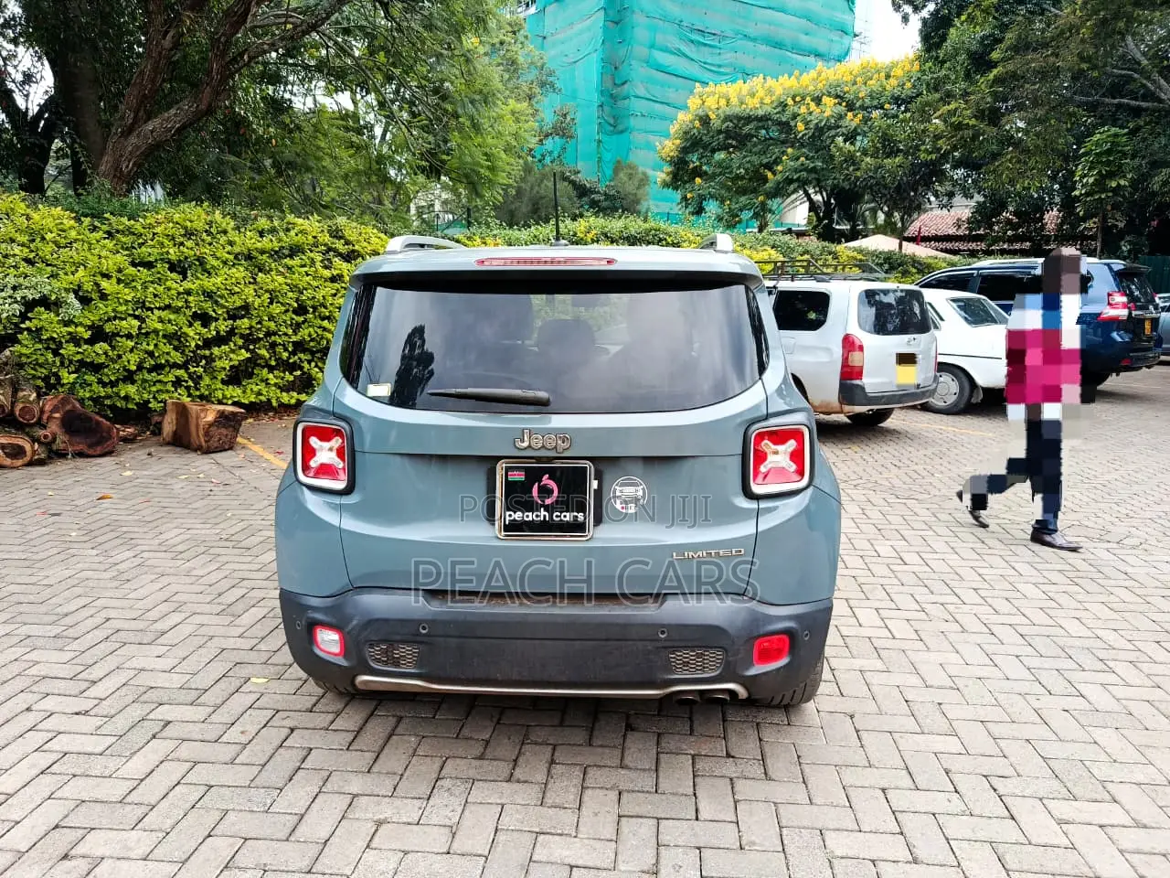 Jeep Renegade 2016 Gray