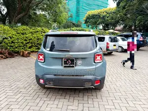 Jeep Renegade 2016 Gray