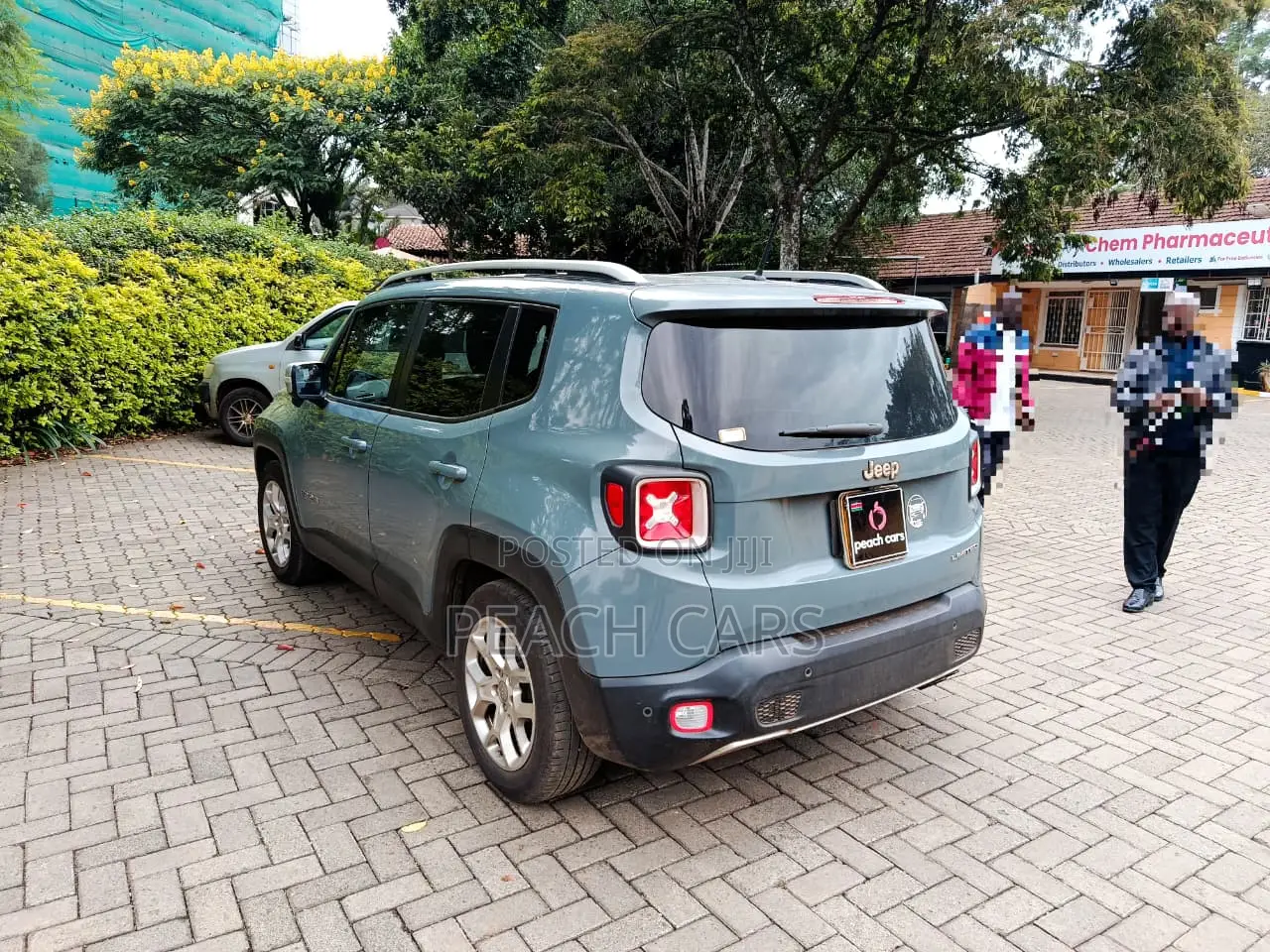 Jeep Renegade 2016 Gray