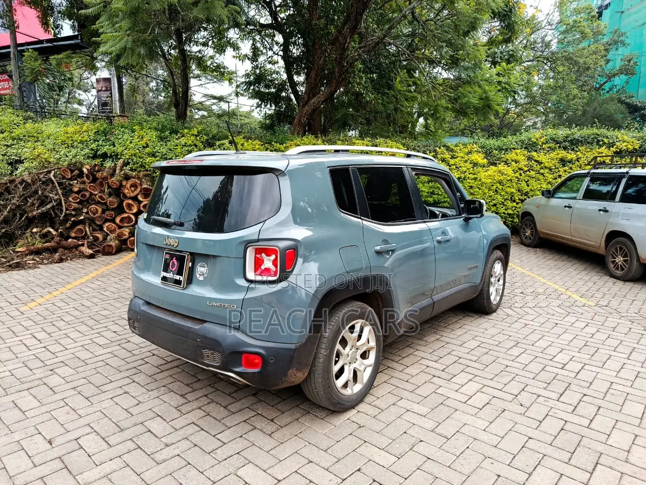 Jeep Renegade 2016 Gray