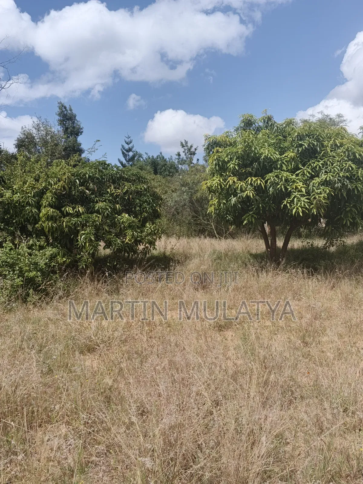 Land For Sell