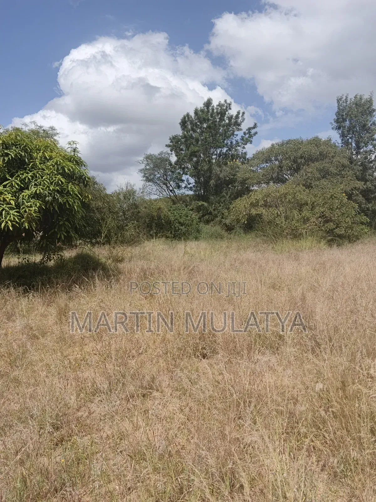 Land For Sell