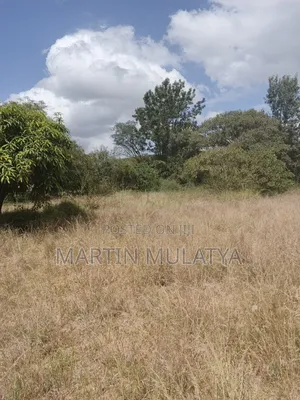 Land For Sell