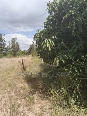 Land For Sell
