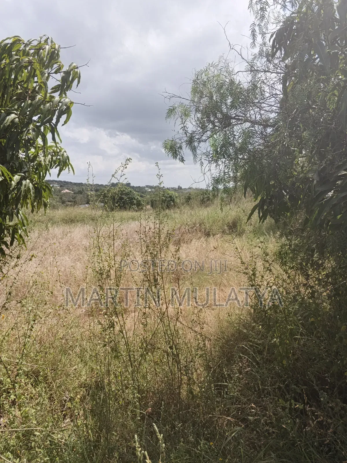 Land For Sell