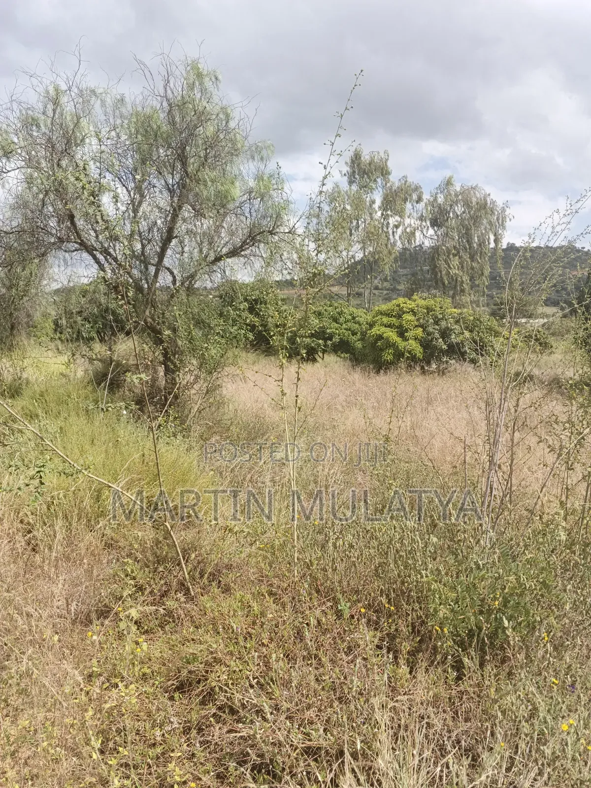 Land For Sell