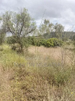 Land For Sell
