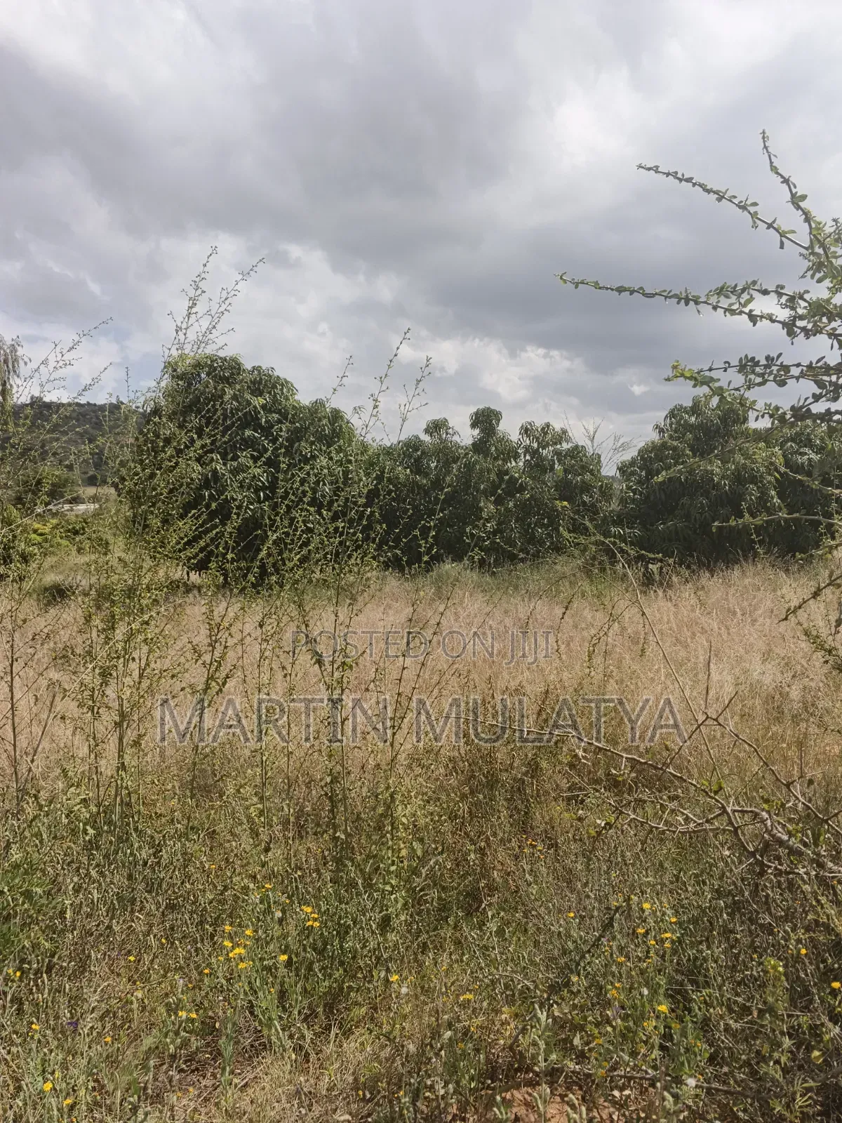 Land For Sell