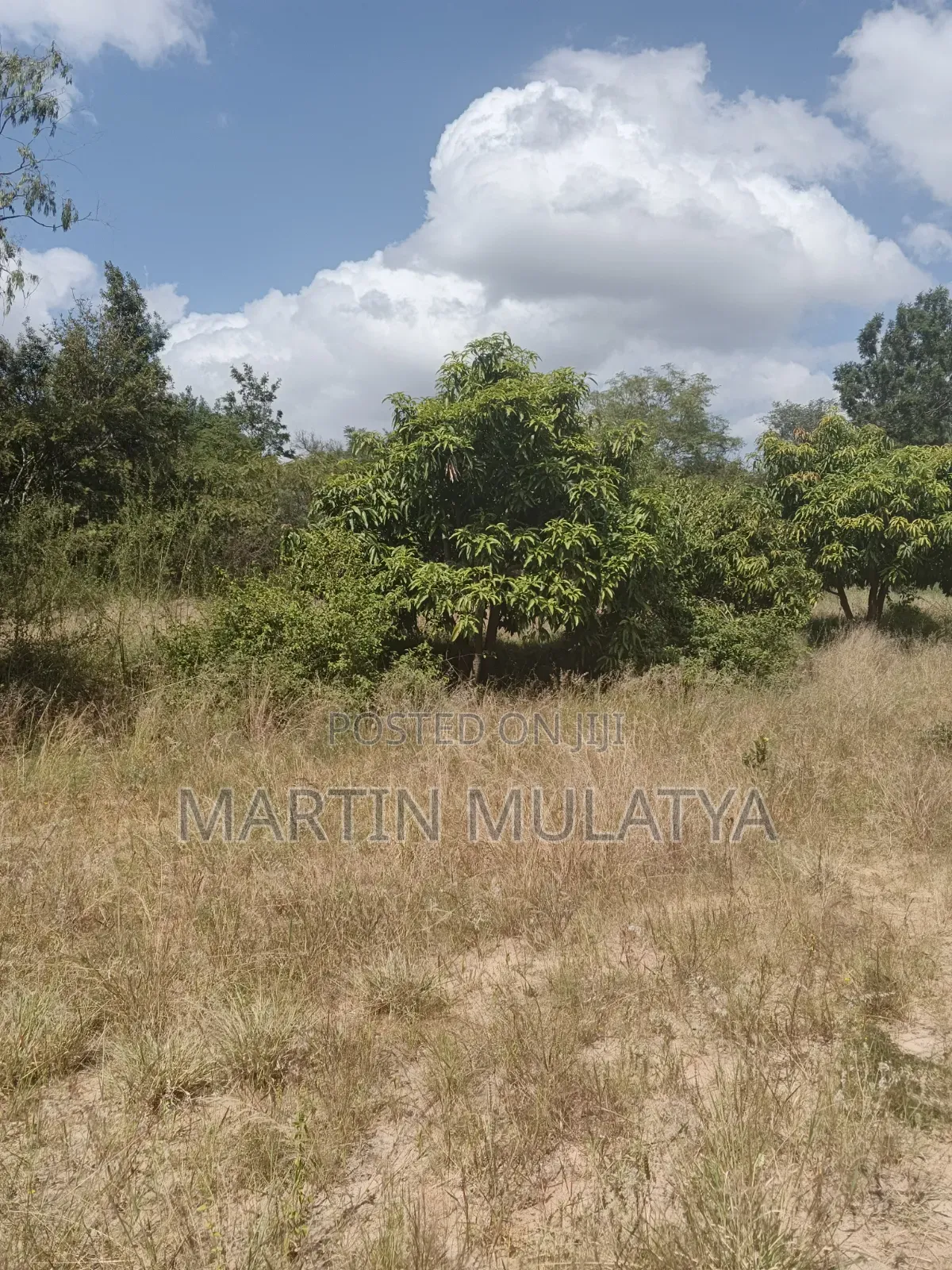 Land For Sell