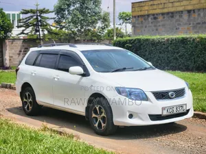 Toyota Corolla Fielder 2009 White