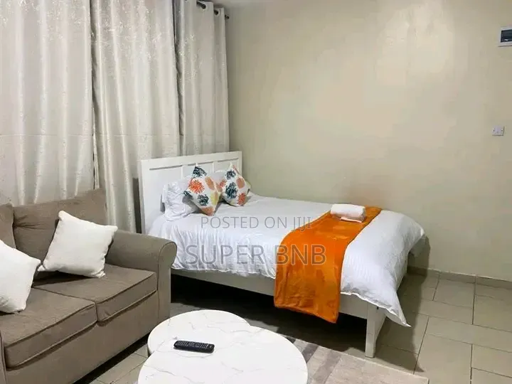 1 Bedroom and Studio Airbnb Available in Limuru Town