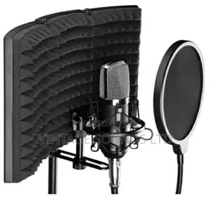 Microphone Isolation Shield