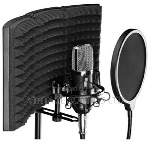 Microphone Isolation Shield - main view