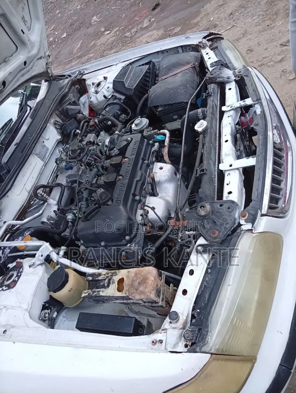 Nissan FB15 2008 White