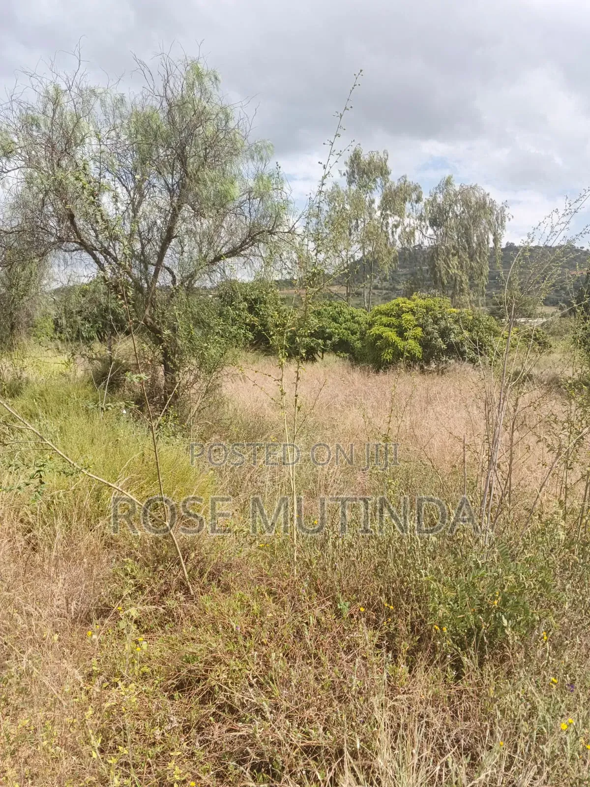 2.5acres at Makutano