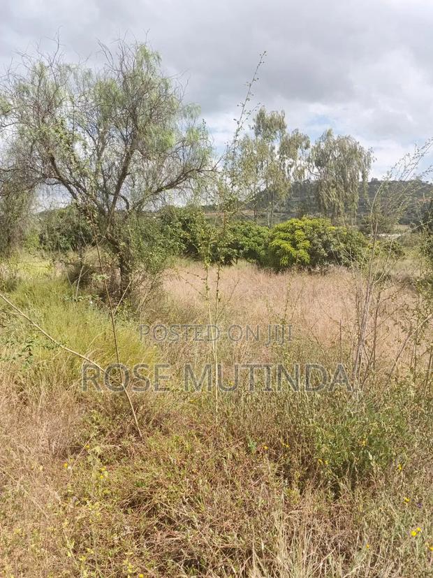 2.5acres at Makutano