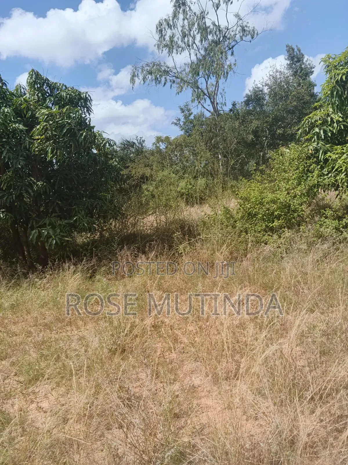 2.5acres at Makutano