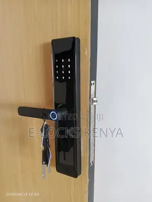 Fingerprint Tuya Smart App Wifi Door Locks Password Card Door Lock