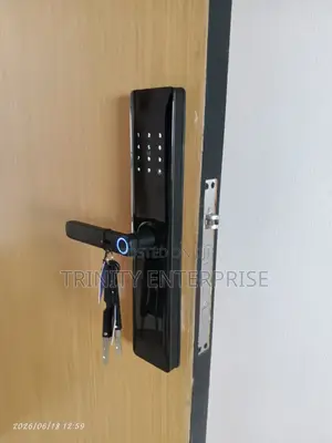 Tuya Wifi Smart Lock With Fingerprint ,Card,Password and App Control