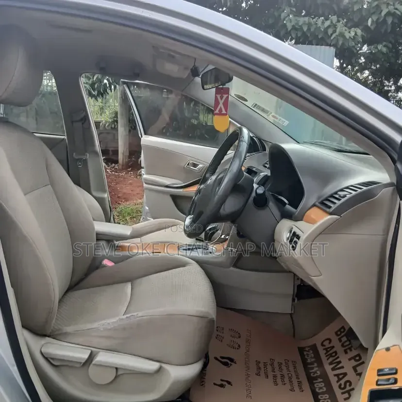 Toyota Premio 2010 Silver