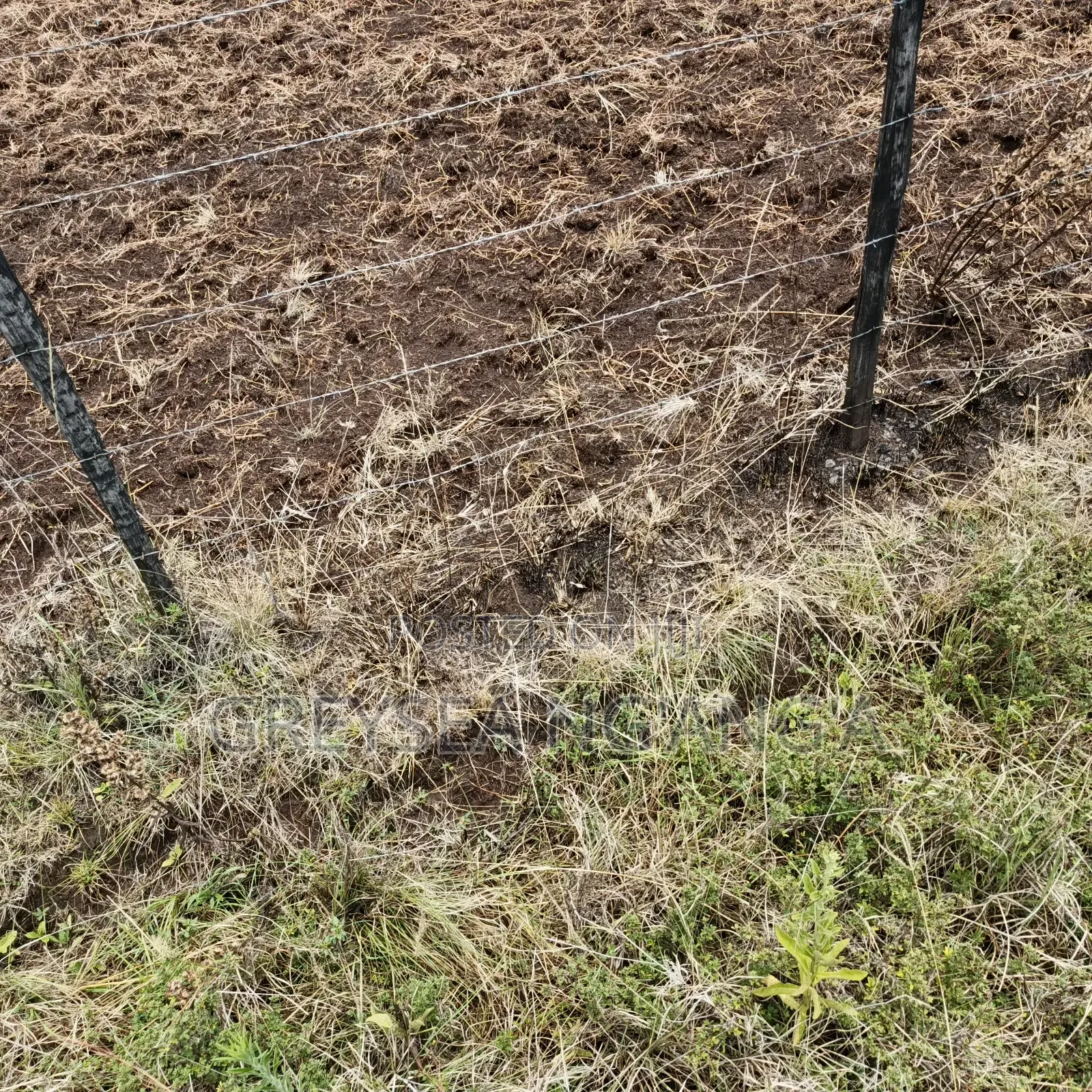 50*100 Plot for Sale in Nakuru