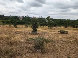 Plots for Sale in Kyumbi