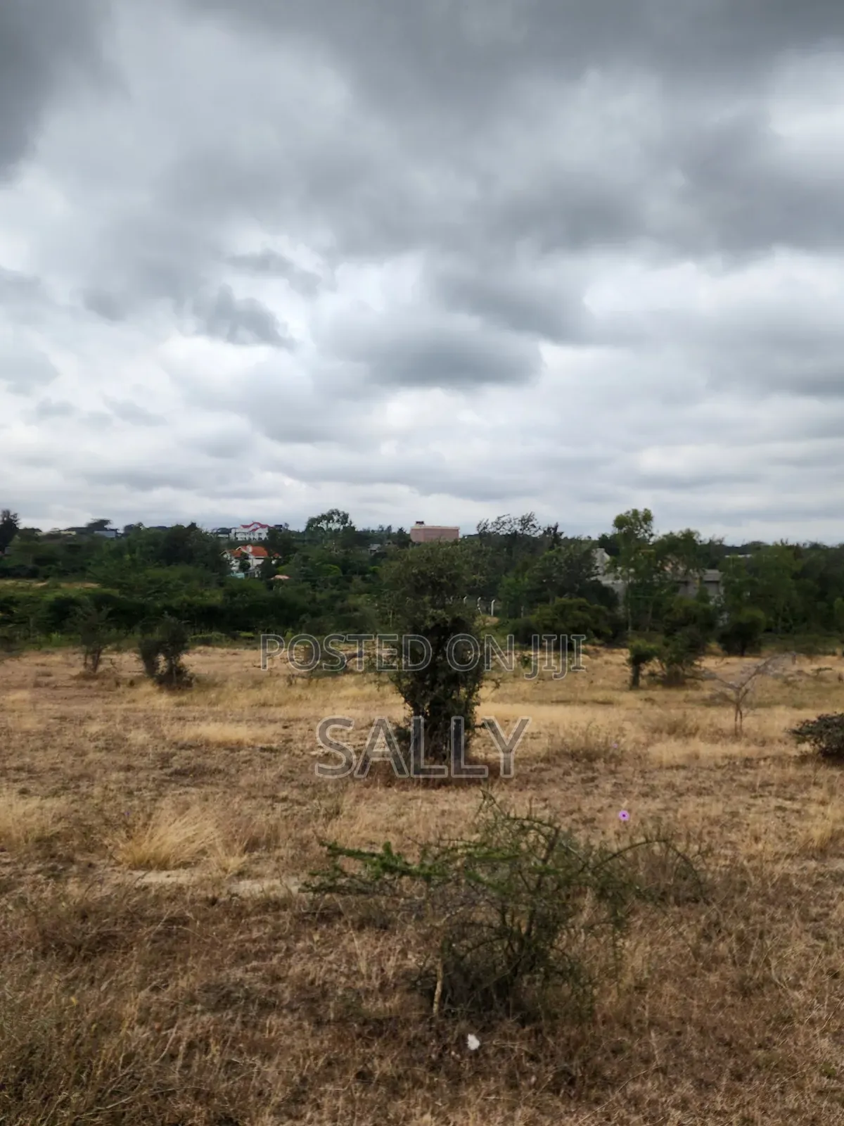 Plots for Sale in Kyumbi